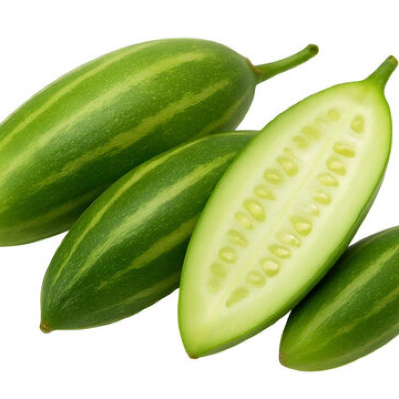 pointed gourd parval परवल