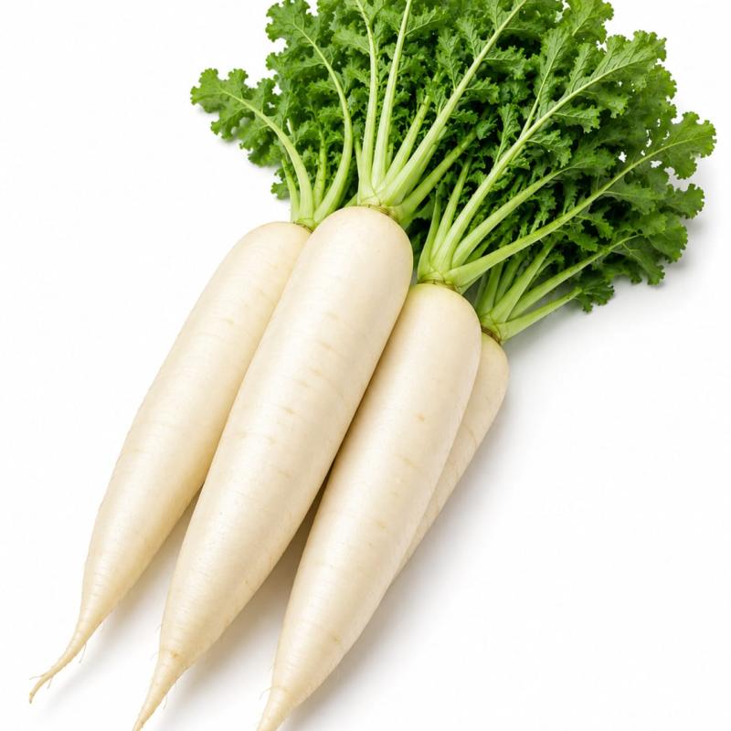 Radish - Mulee मूली
