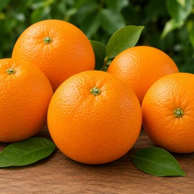 Orange - संतरा - Santra
