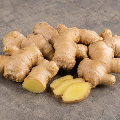 Ginger - अदरक - Adrak